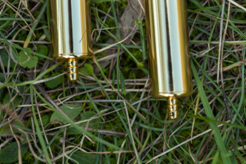 GDI gold dowsing rods